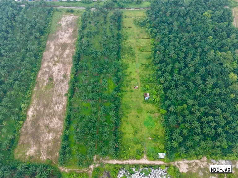 Kapar two adjoining industrial-zoned agricultural lots 10.5 acres — photo 4
